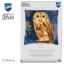 Cushion - Owl