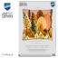 Cushion - Autumn forest