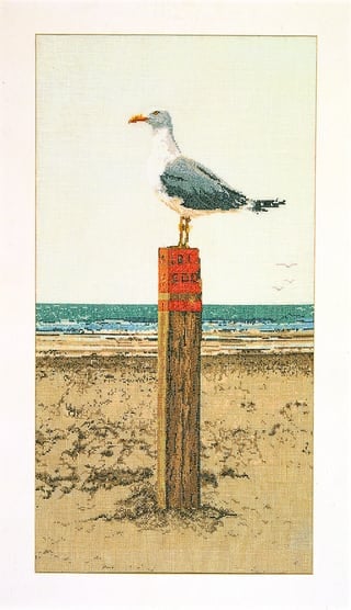 Seagull - Aida