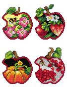 Apples - Four seasons (4)