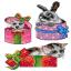 Pets inside Gifts (3)