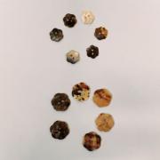 Flower nacre buttons
