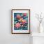 Water lily