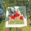 Red Poppies