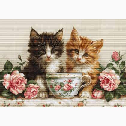 Morning of the Cats
