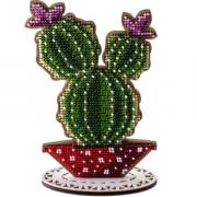 Columnar cactus - Purple