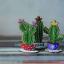Columnar cactus - Purple