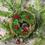Wreath with robin