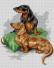Tha Dachshunds (Arthur Wardle)