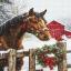 Holiday Magic
