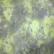 Mire - Cashel Linen 28ct