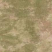 Veldt - Edinburgh Linen 36ct