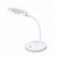 LED Desk Lamp