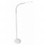 LED 4-Light color floor lamp