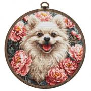 Spitz