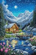 Moonlit night