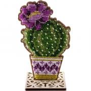 Round cactus
