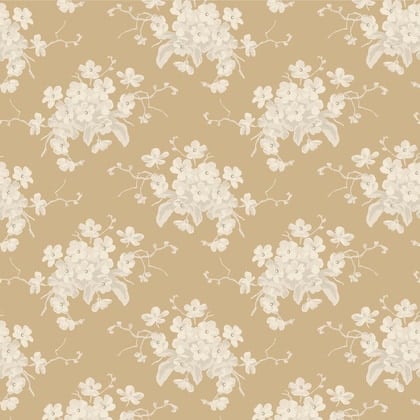 Sunday Brunch: White Flower in Sand Sunday Brunch: White Flower in Sand