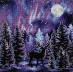 Starry night