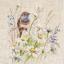 The Bluethroat