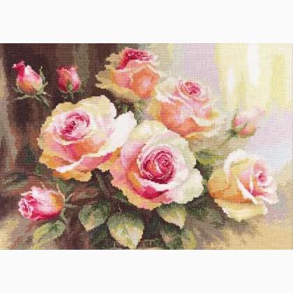 Roses in the Sunlight