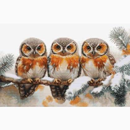 Owls in The Silence of Winter