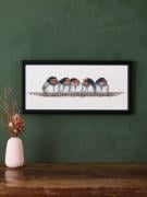Swallows