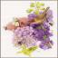 Everyone's flower encounter - Aida