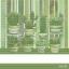 Kitchen towel - Eulalia - Green
