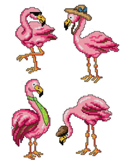 Flamingos (4)