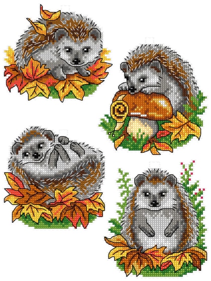 Hedgehogs (4)