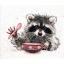 Racoon