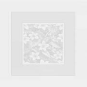 Tablecloth - Tropical - White