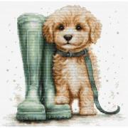 For a Walk