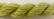 Jumbuck - SW-1319 Celery