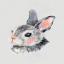 Little hare
