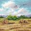 Rural expanses