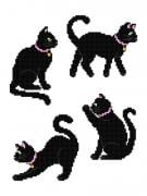 Black Cats (4)