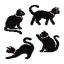 Black Cats (4)