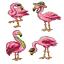 Flamingos (4)