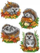 Hedgehogs (4)