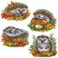Hedgehogs (4)