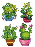 Potted Plants (4)