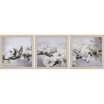 Blooming garden