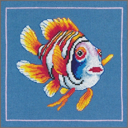 Jolly nemo fish