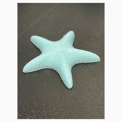 Starfish Needle Minder