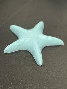 Starfish Needle Minder
