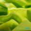 PUL ProSoft FoodSAFE® - 1mil - Apple Green
