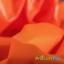 PUL ProSoft FoodSAFE® - 1mil - Orange