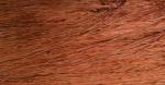 Simply Shaker: Chestnut